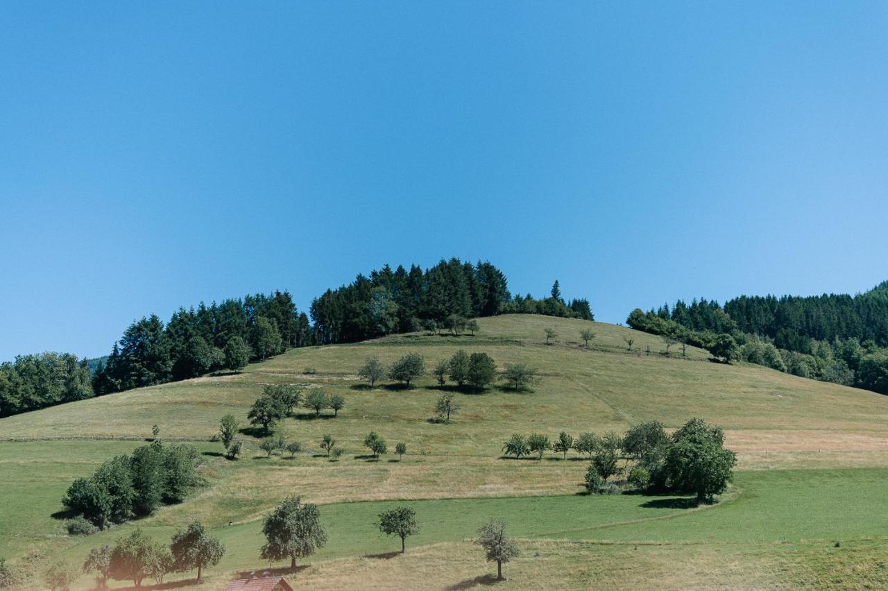 Moderne 2 Zi.-Fewo Blackforestart Naehe Freiburg Simonswald Εξωτερικό φωτογραφία