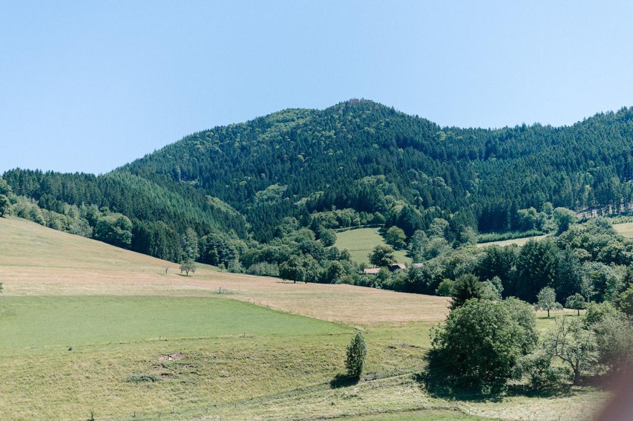 Moderne 2 Zi.-Fewo Blackforestart Naehe Freiburg Simonswald Εξωτερικό φωτογραφία